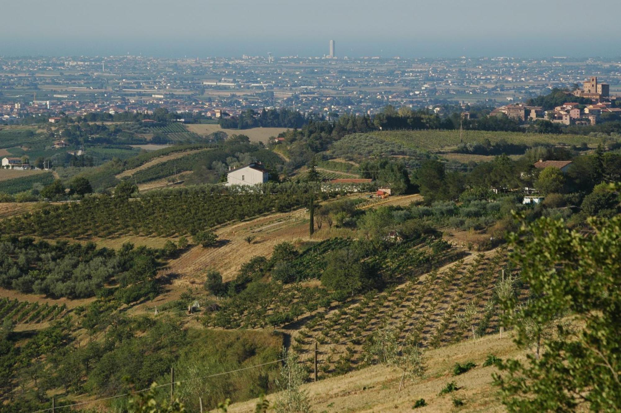 I Quattro Passeri Country House Santa Paola Exterior foto