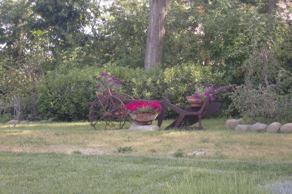 I Quattro Passeri Country House Santa Paola Quarto foto
